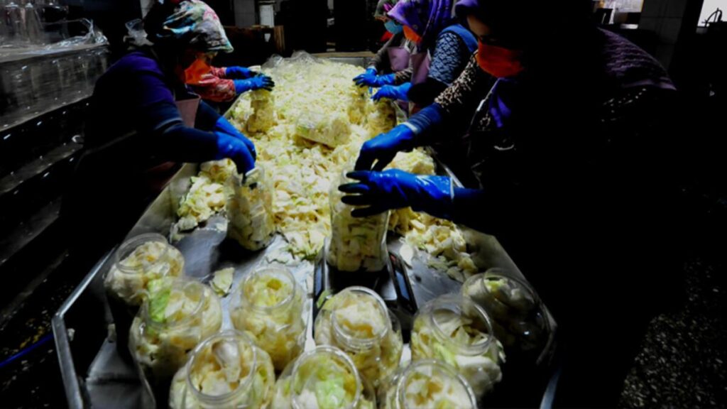 Turşuyla Göç Alan Yer ! Nüfus 2’ye Katlanıyor…