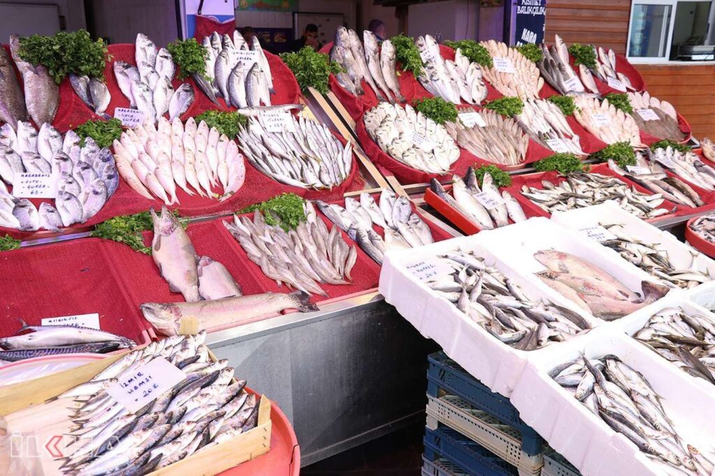 Hamsi İstanbul‘ da 40 Samsun’da 10 TL !!