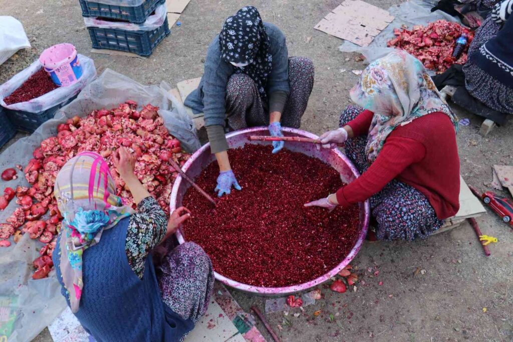 Malatyalı Kadınların Ek Gelir Kapısı Nar Ekşisi Oldu…