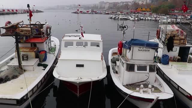 Tekirdağ‘ da Sis Nedeniyle Balık Fiyatları Arttı..!!