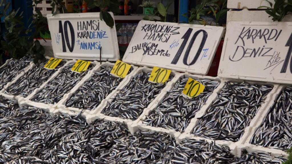 Hamsinin Kilosu 10 Liraya Düştü..!